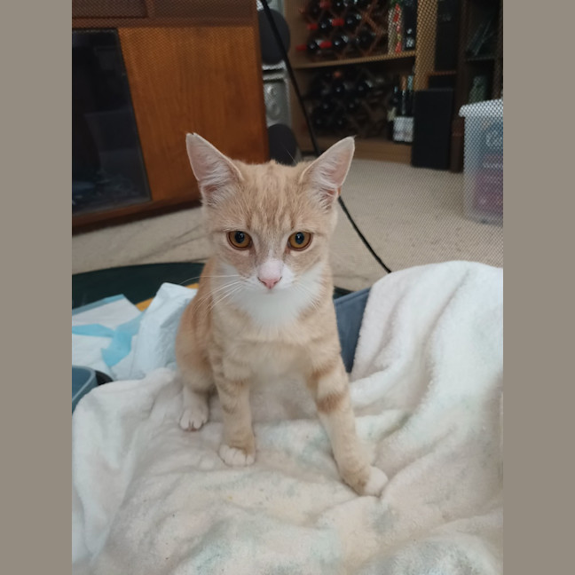Photo of Lucky