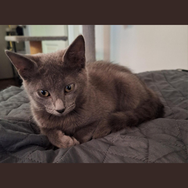 Photo of Sweetie