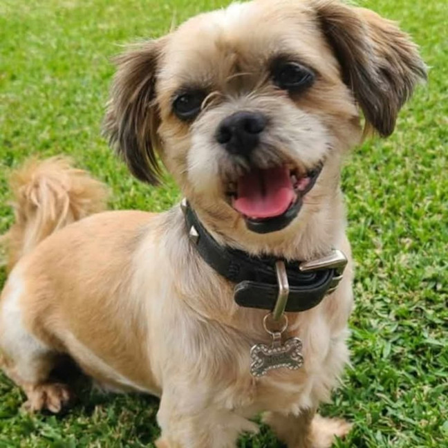 Photo of Jack & Sooty