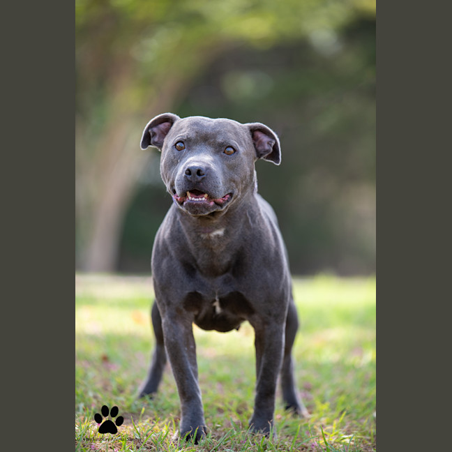 Photo of Zeus