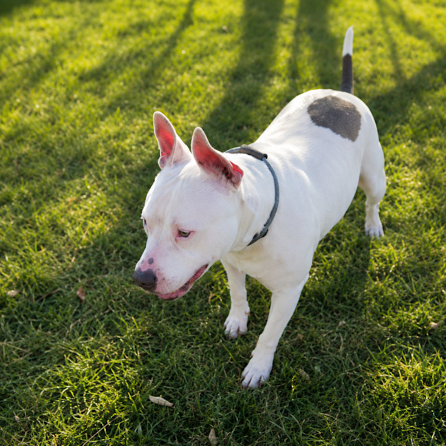 Photo of Tilly 