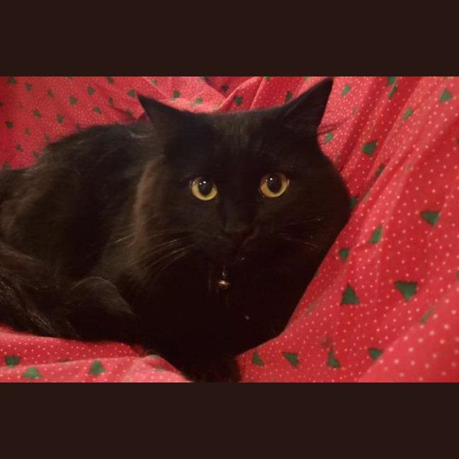 Photo of Turbo