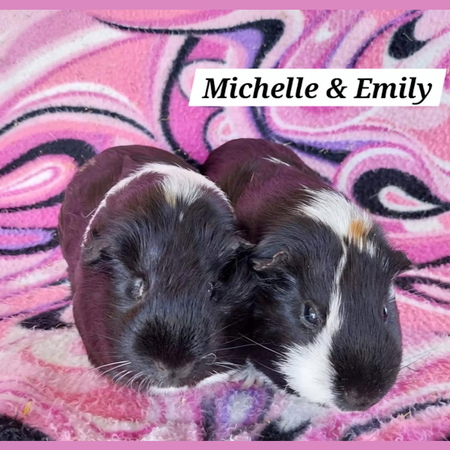 Photo of Michelle & Emily