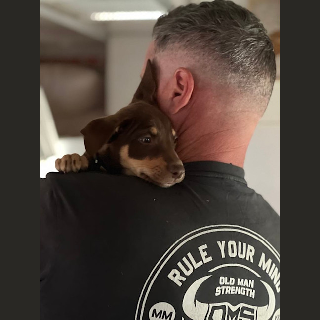 Photo of Hokey Pokey