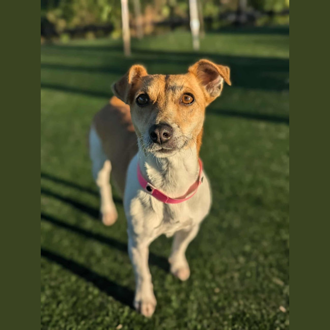 Photo of Ethel Imp 1443