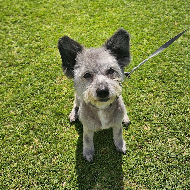Photo of Tubby