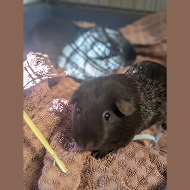 Photo of Tina 
