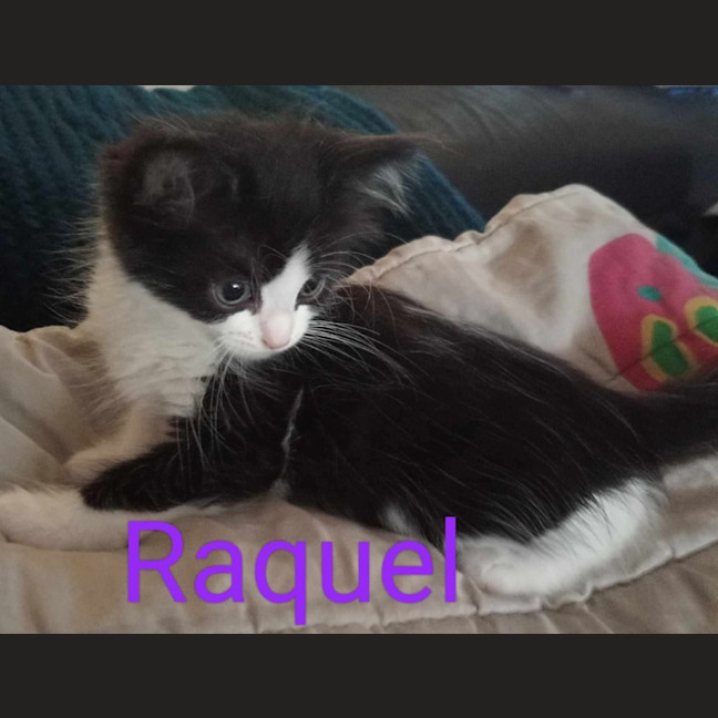 Photo of Raquel