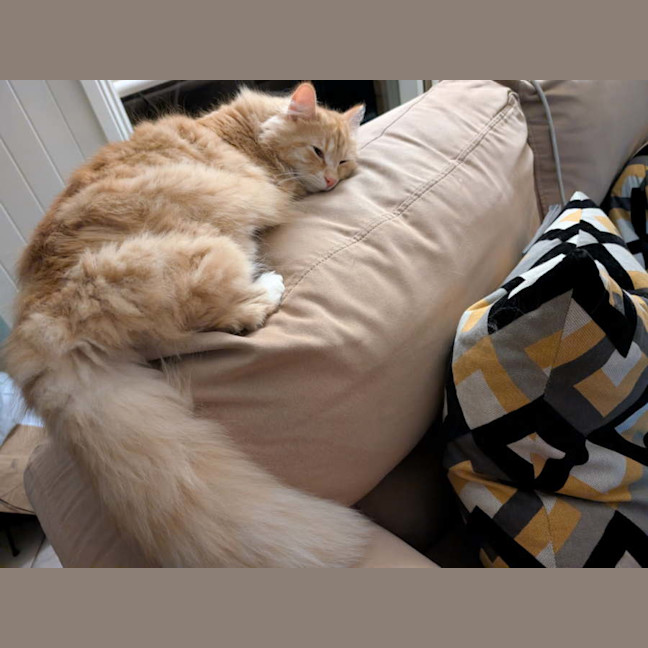 Photo of Jasper