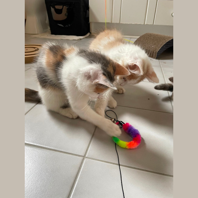 Photo of Margie 🌸🌸🌸