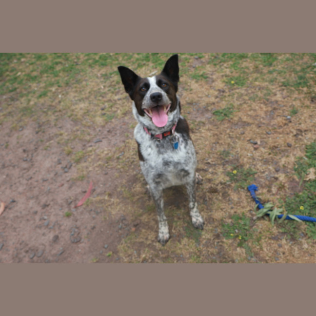 Photo of Luna