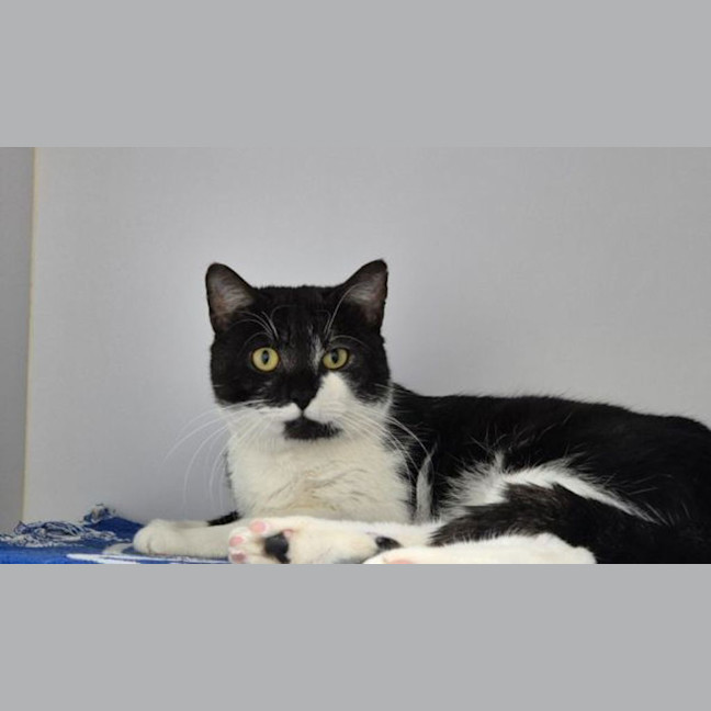 Photo of Simon