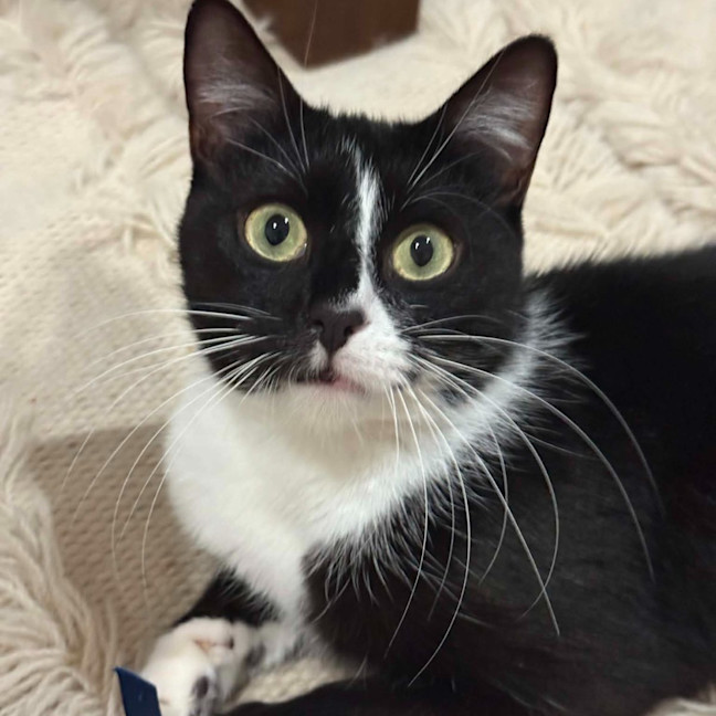 Photo of Jasmine