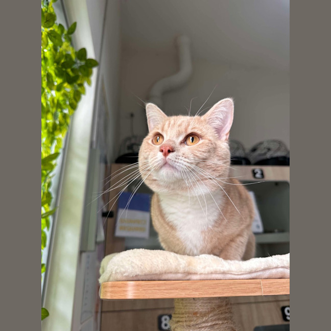 Photo of 🥞 Rupert 5644 🥞