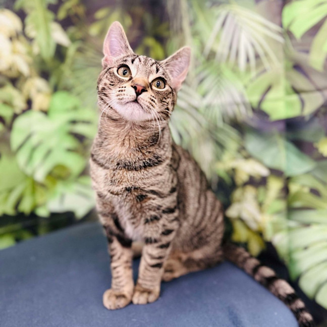 Photo of Lyle   Located In Preston 