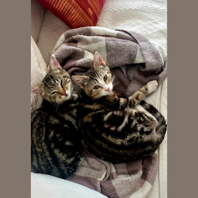 Photo of Gertie & Muriel 