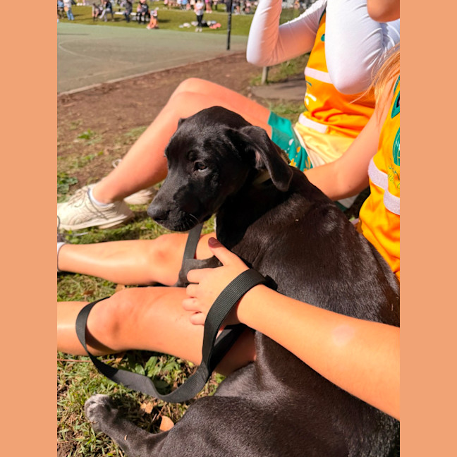 Photo of Coco