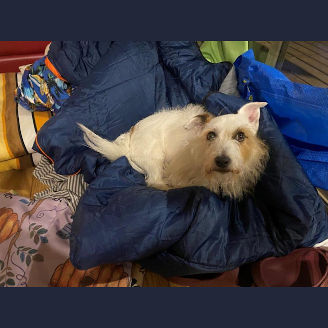 Photo of Russell Russelton