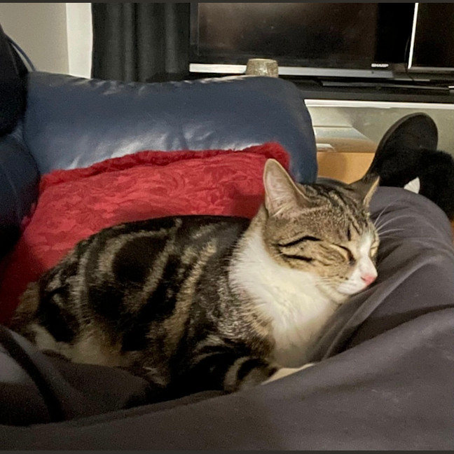 Photo of Leo