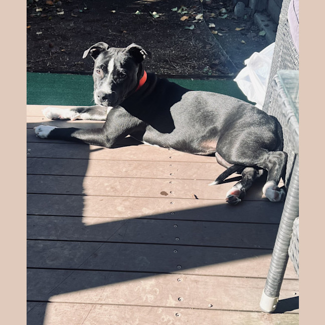 Photo of Ziala