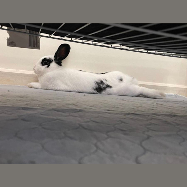 Photo of Andy & Astro