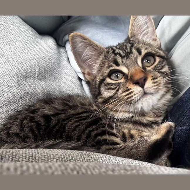 Photo of Coco 
