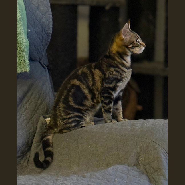 Photo of Sophie 