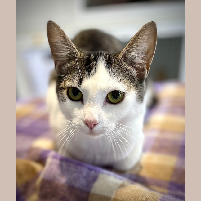 Photo of Lilah