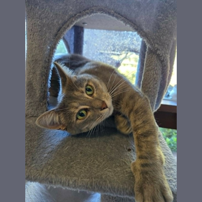 Photo of Luna