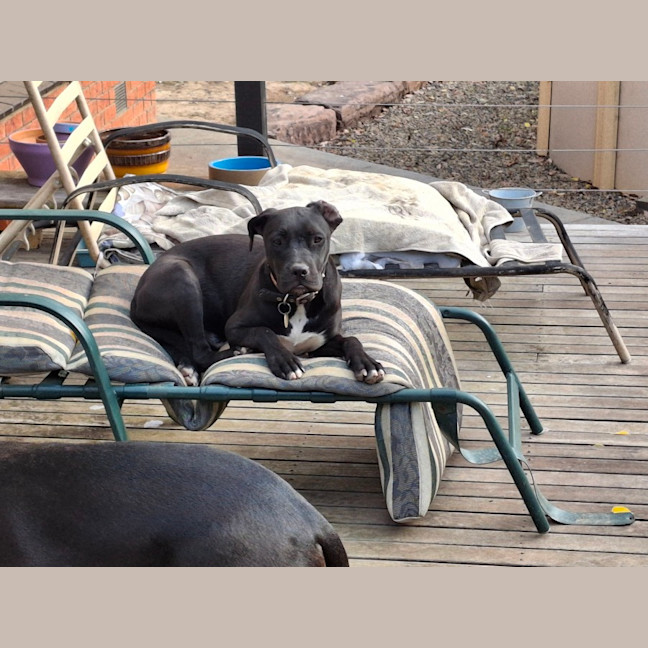 Photo of Superior Winston