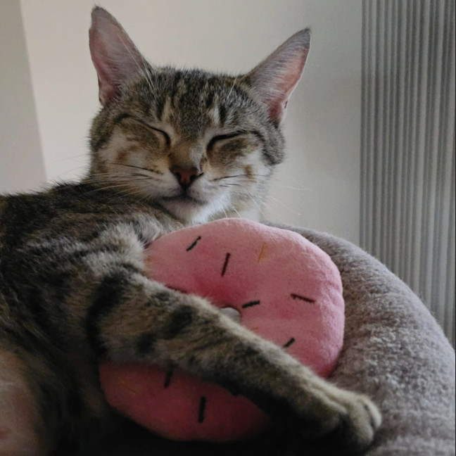 Photo of Nini