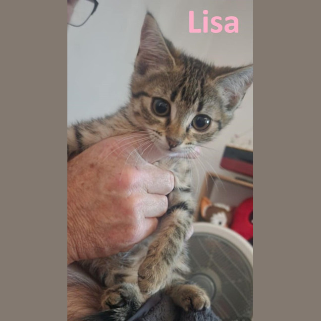 Photo of Lisa