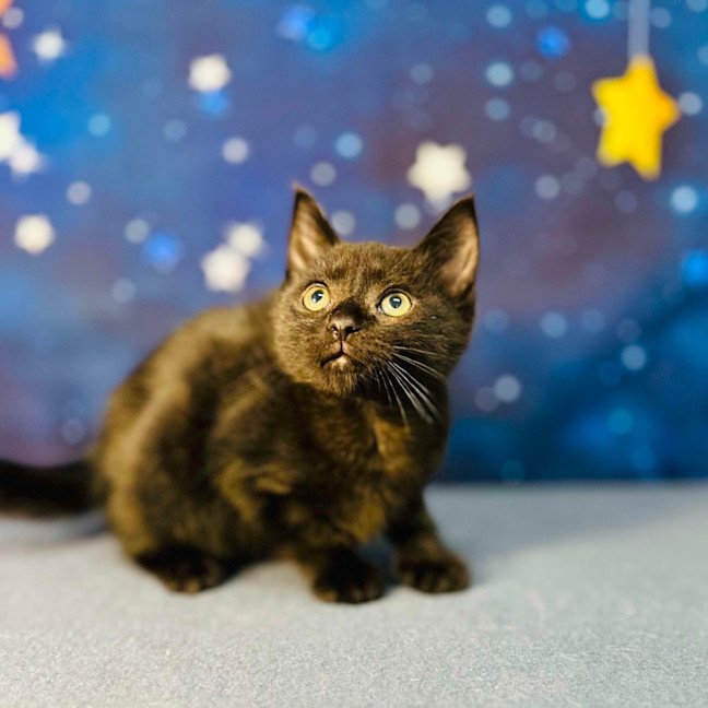 Photo of Barry   Located In Preston 