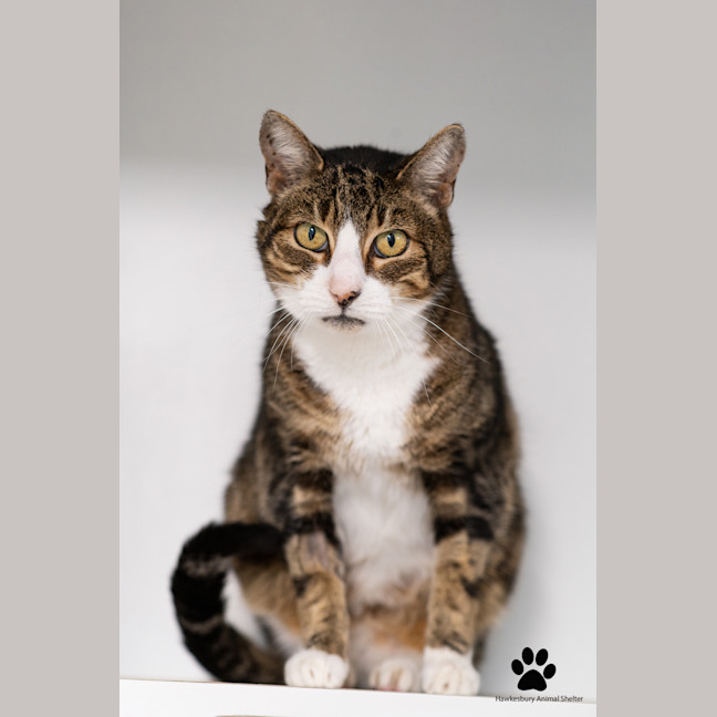 Photo of Harley