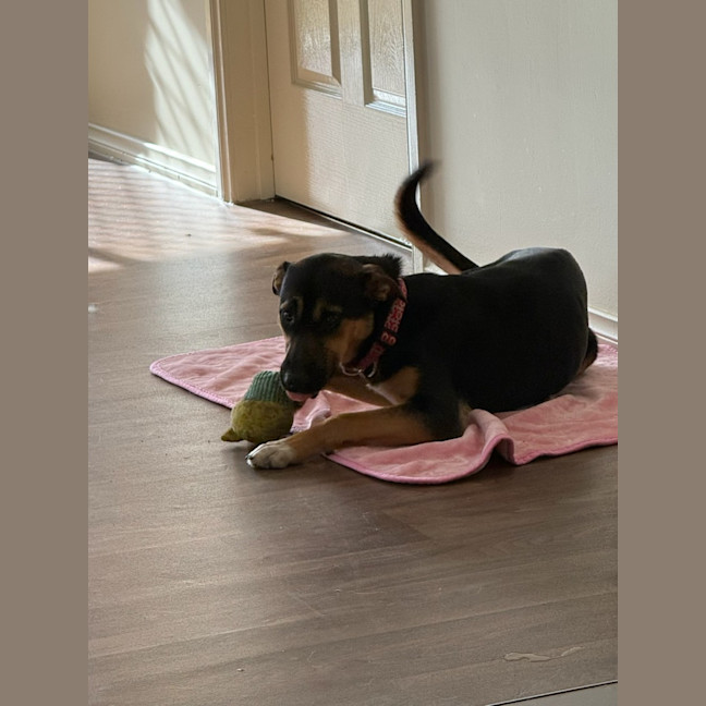 Photo of Ellie 