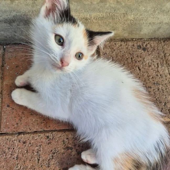 Photo of Ethel
