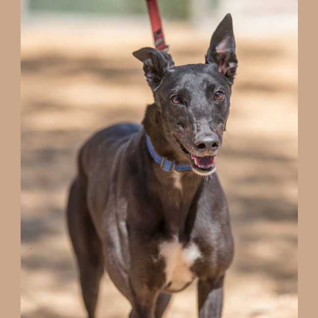 Photo of Bernadette Beasley