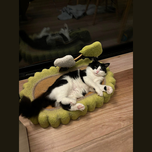 Photo of Esme