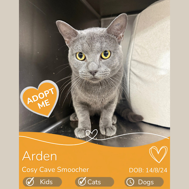 Photo of Arden