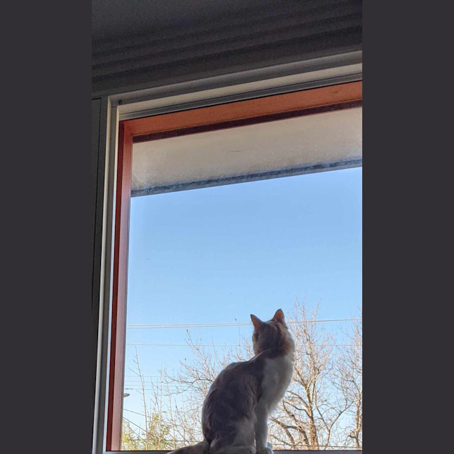 Photo of Slinky George