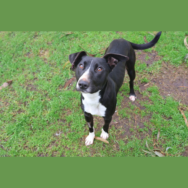 Photo of Tessie