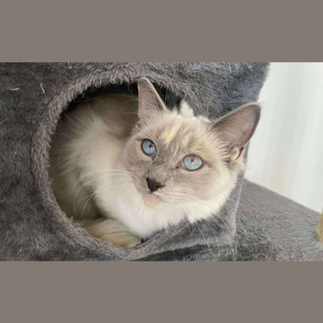 Photo of Sofie