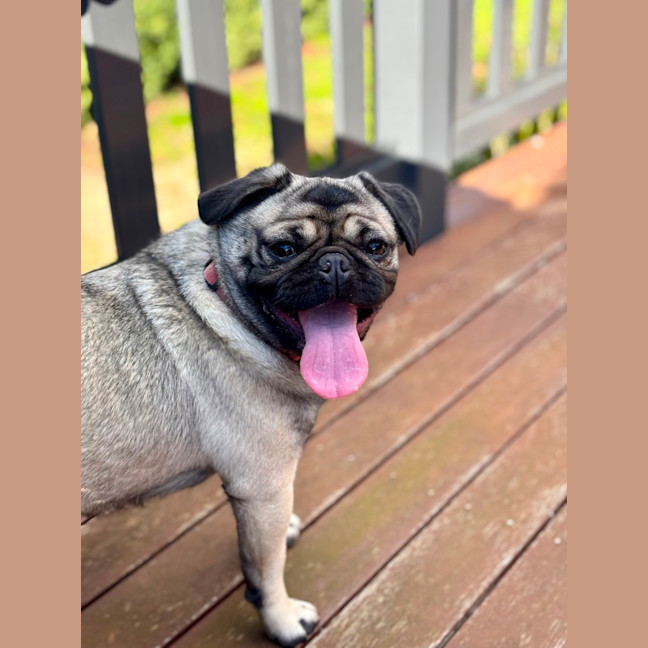 Photo of Betty