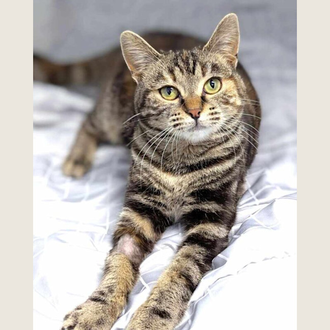 Photo of Leia