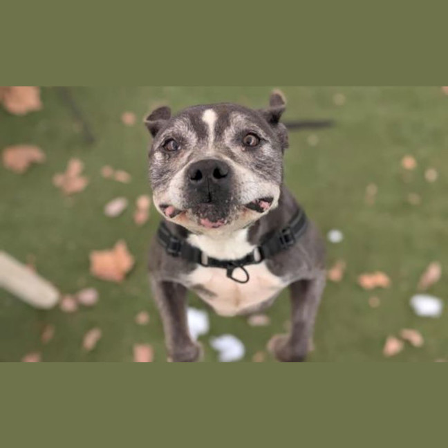 Photo of Unit