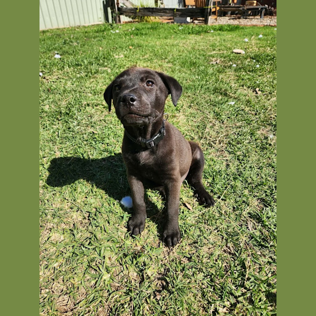 Photo of Gus