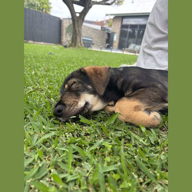 Photo of Theo