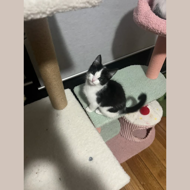 Photo of Astro