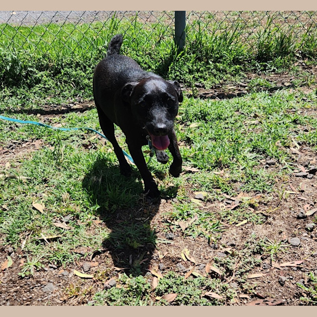 Photo of Tiny (64783)