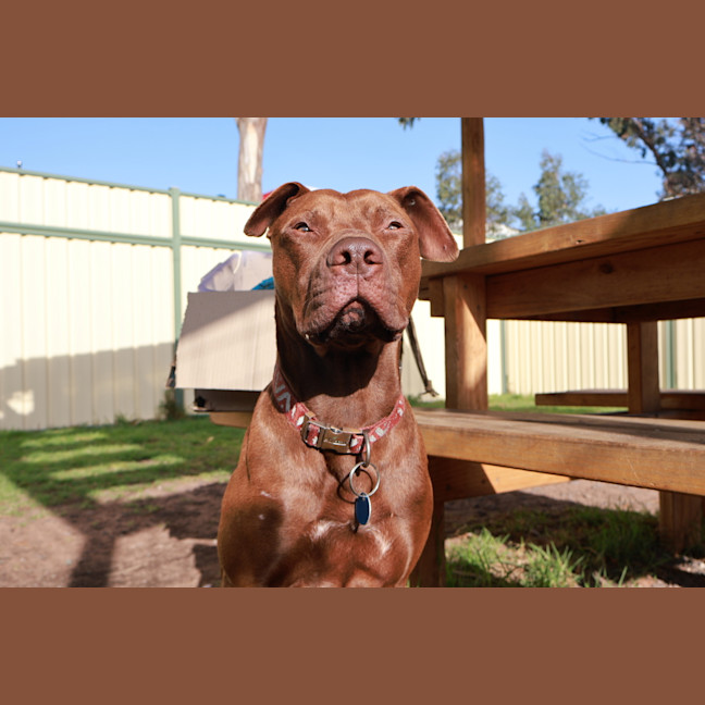 Photo of Wilfred